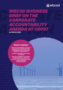 WBCSD Business Brief on the Corporate Accountability Agenda at COP27.pdf